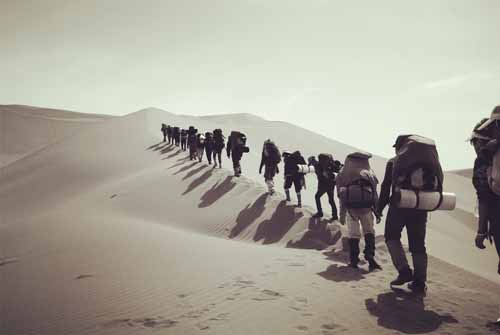 攝影二等獎《征服》  作者：付興根（內(nèi)分泌科）  3.jpg