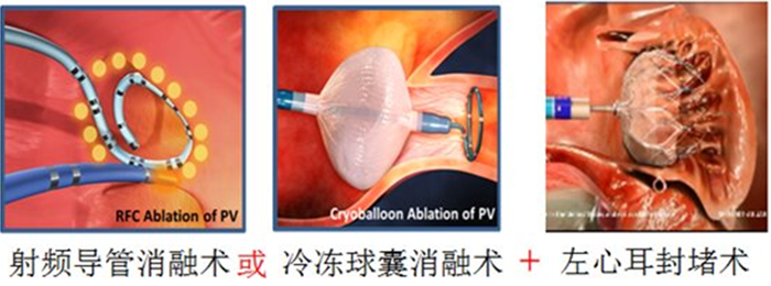 1681117021311331.png 1.png