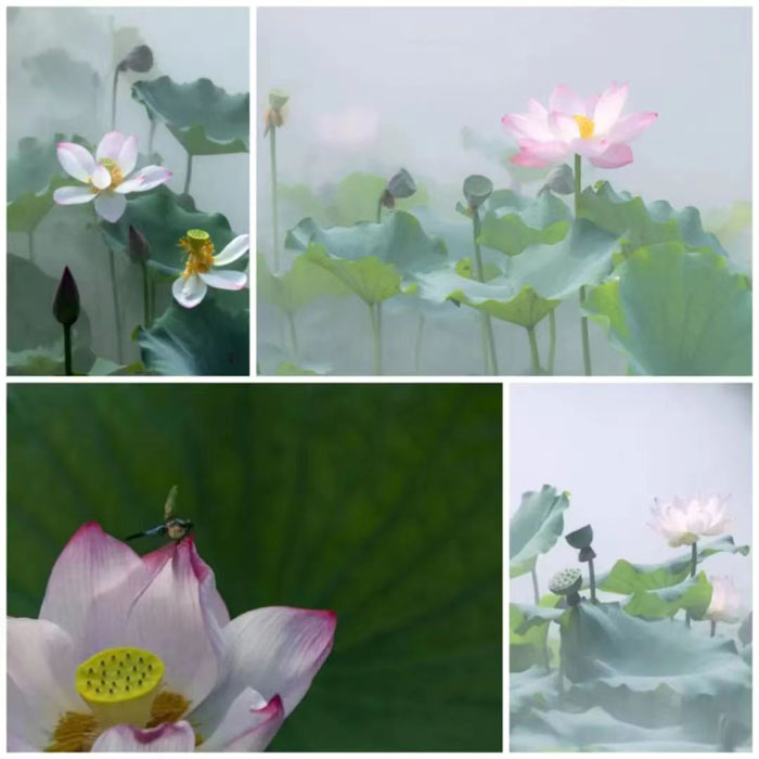 1690592596855705.jpg 微信圖片_20230729083845_3.jpg