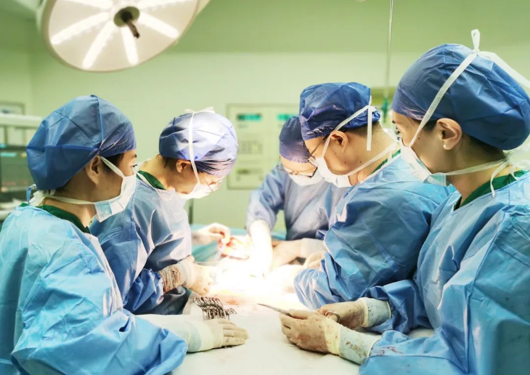 1694871591195197.jpg 640.jpg