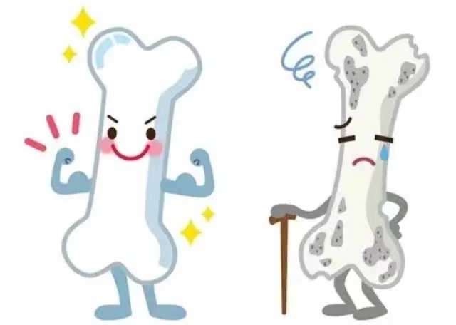 1698981032129167.jpg image005.jpg