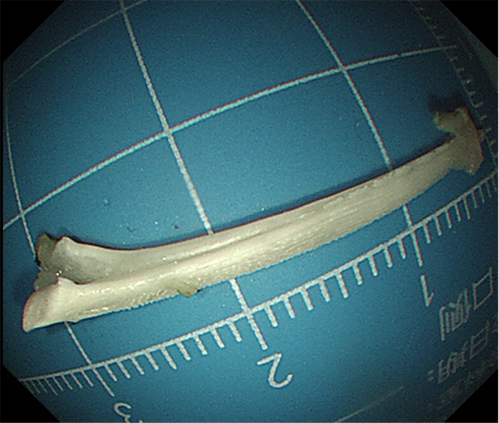 1704355535449890.png 圖片5.png