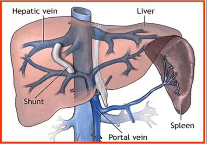 微信圖片_20210111091742.jpg 微信圖片_20210111091742.jpg